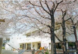 写真:桜の咲いた園舎