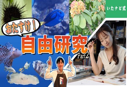 魅力発信！いたばしナビ（外部リンク）