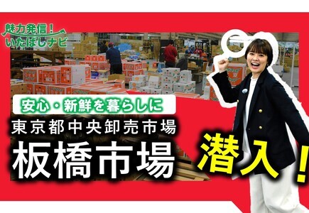 魅力発信！いたばしナビ（外部リンク）