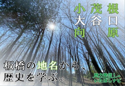 魅力発信！いたばしナビ（外部リンク）
