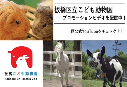 板橋区立こども動物園　プロモーションビデオを配信中！　区公式YouTubeをチェック！　板橋こども動物園　Itabashi　Children’s　Zoo