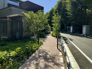 写真1