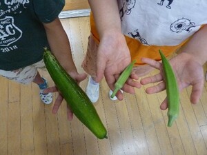 写真:収穫したきゅうりとオクラ