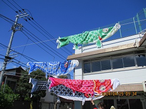 園庭を泳ぐこいのぼり