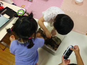 ダンゴムシを覗く子どもの様子