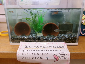 水槽