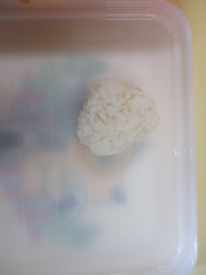 一人分の小さなおにぎりです。