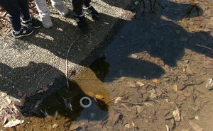 写真:おたまじゃくしとお別れしている
