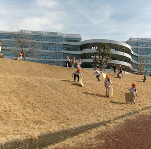 そり遊びの様子