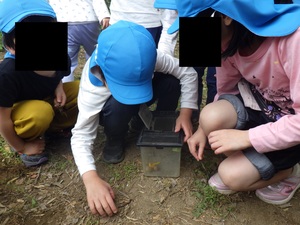 写真　しゃがんでカナヘビを捕まえようとする子ども