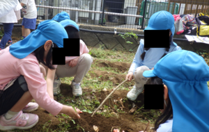 写真　しゃがんで虫探しをする子どもたち