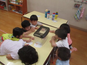 見送り