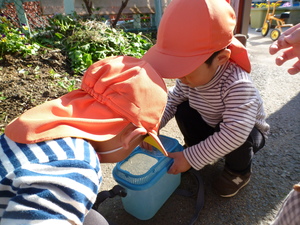 ダンゴ虫を観察しているところ