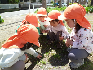てんとう虫を観察しているところ