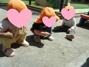 写真:しゃがんでダンゴ虫をジーっと見ている様子