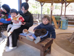 モルモットに触ってる様子