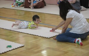 ハイハイレース