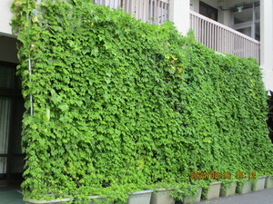 写真2