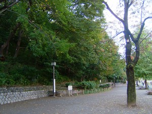 志村城山公園画像