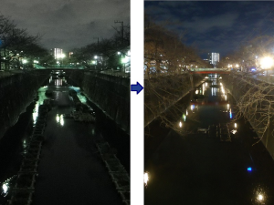 写真：2種類の光の色を水面の反射で比較している様子