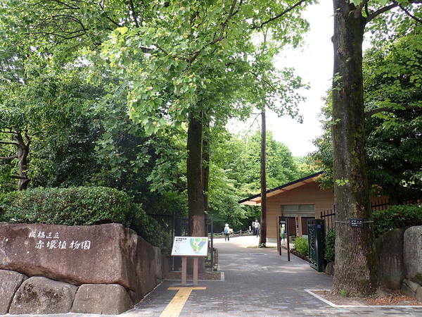 正面入口 写真