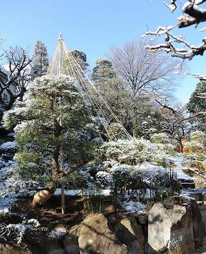 写真　日本庭園　雪