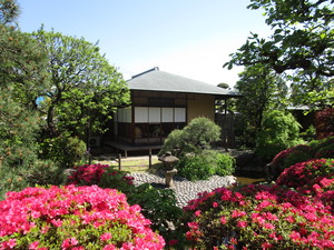 写真 日本庭園 ツツジ
