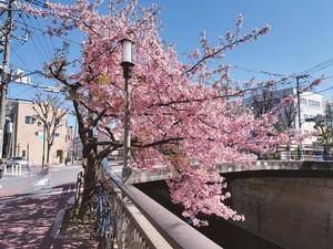 令和6年2月28日