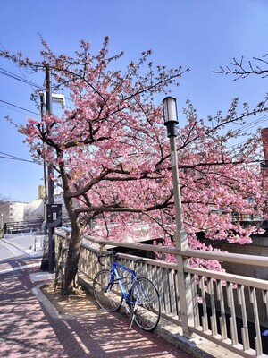 令和7年3月2日