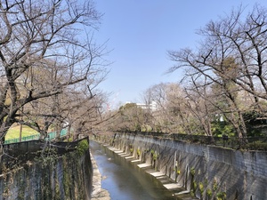 令和7年3月25日