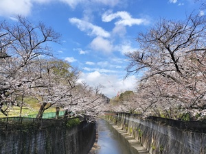 令和7年3月28日