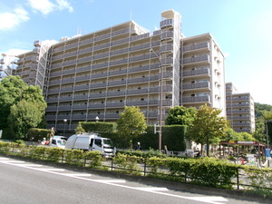 写真2