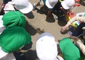 写真3