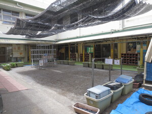 写真1