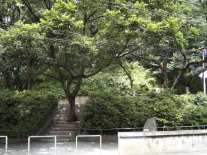写真5