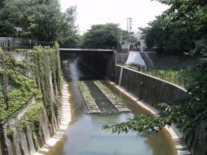写真6