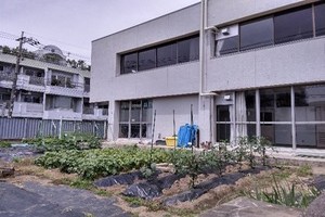 画像:「あいキッズ農園」で園芸活動