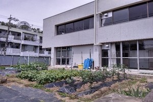 画像：「あいキッズ農園」で園芸活動