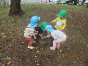 切り株をのぞき込む子どもたち
