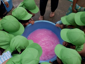 4歳児が色水で遊んでいます