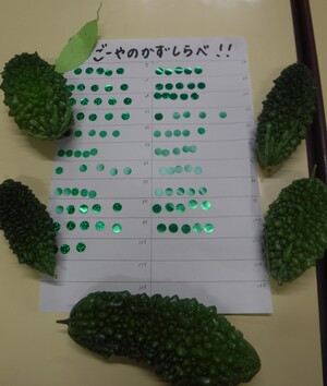 ゴーヤ表