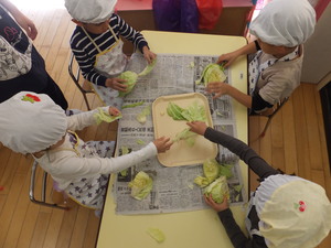 キャベツの葉はずし