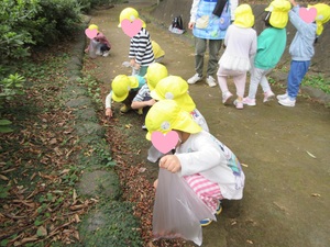 写真　どんぐりを拾ううさぎ組