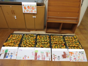 写真　柿がかごの中で並んでいる