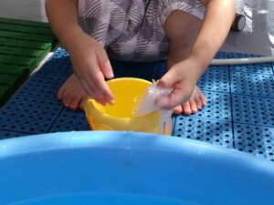 バケツの中から春雨を持ち上げているところ