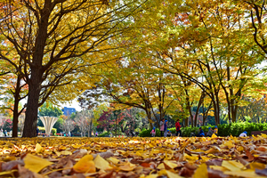 写真：赤塚公園5