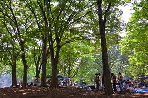 写真：赤塚公園2