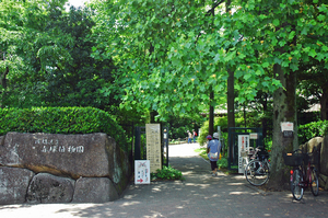 写真：赤塚植物園