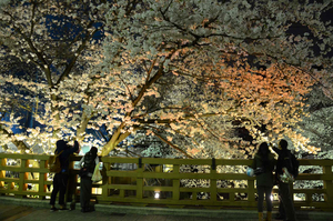 写真:加賀二丁目公園
