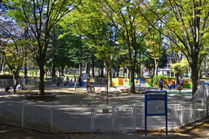 写真：都立城北中央公園